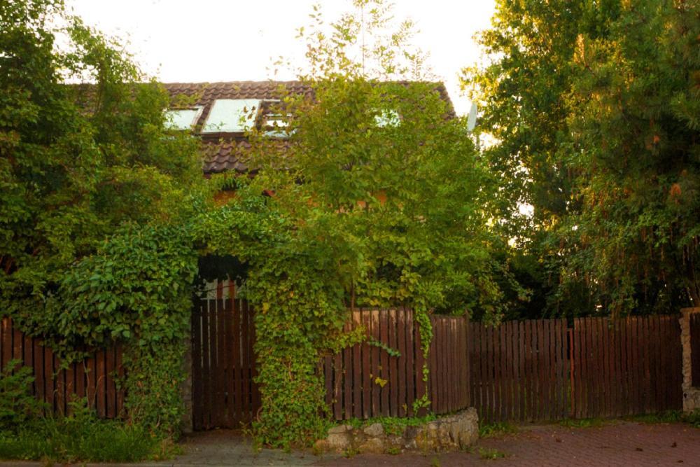 Krakowhouse Villa Libertow Luaran gambar